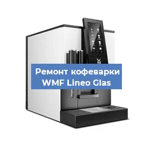 Чистка кофемашины WMF Lineo Glas от накипи в Волгограде